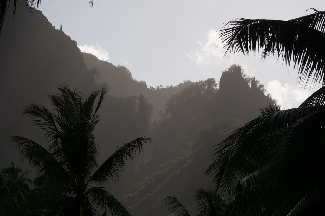 almost black and white shot of Marquesan cliffs and palms